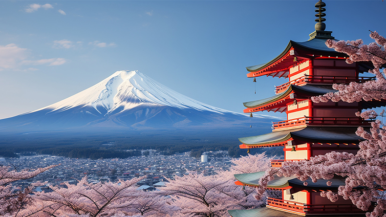 代购集运系统打通乐天日本站：跨境购物更便捷！