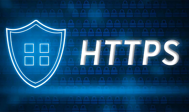 代购集运系统需要HTTPS证书吗？