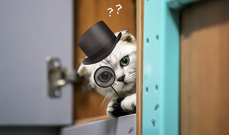 代购集运系统（D9）:&ldquo;无主包裹&rdquo;指导教程