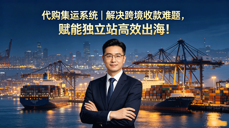 代购集运系统|解决跨境收款难题,赋能独立站高效出海!